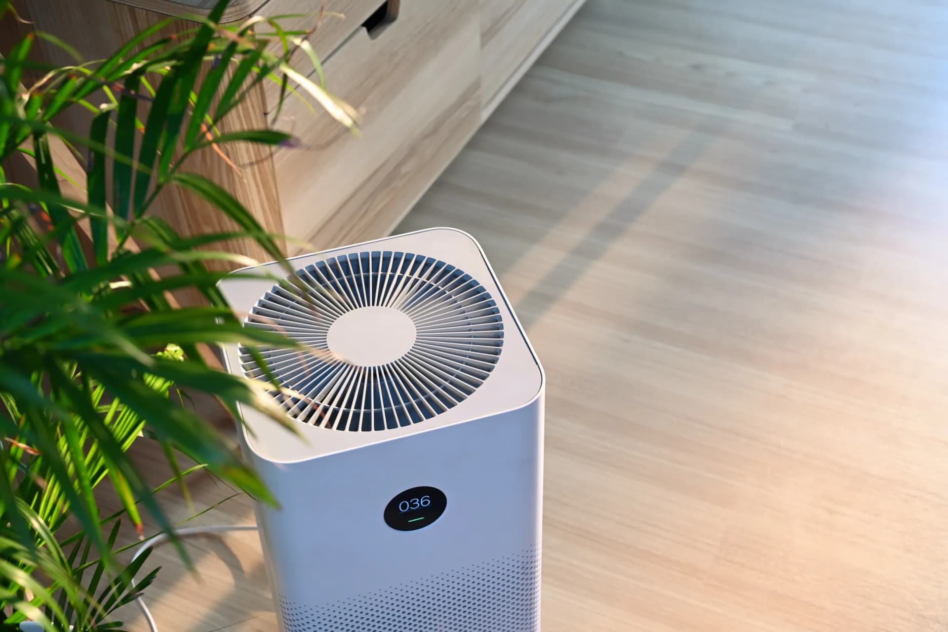 Indoor Air Quality Solutions